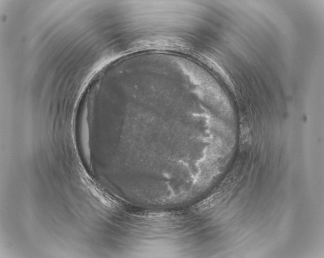 X0000087341035200705111542