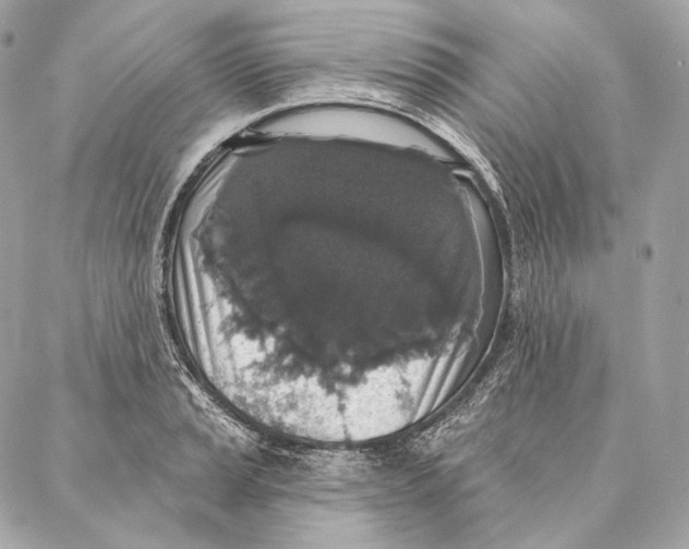 X0000087341037200705111542