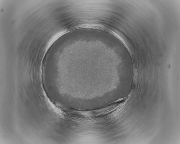 X0000087341050200705111543