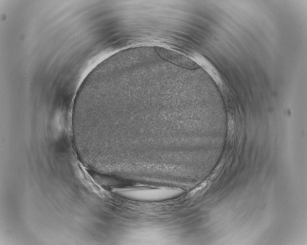 X0000087341052200705111543