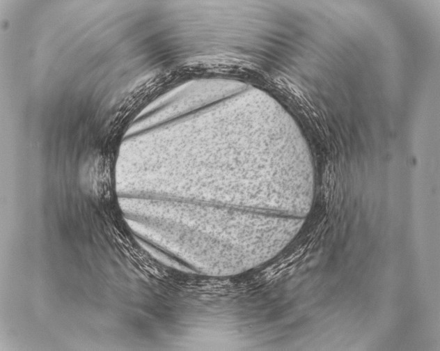 X0000087341062200705111542