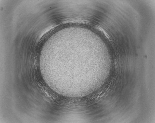 X0000087341064200705111542