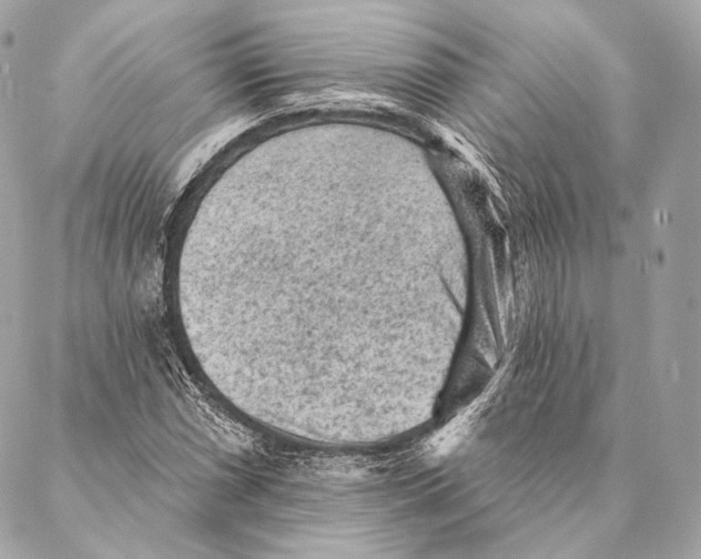 X0000087341066200705111542