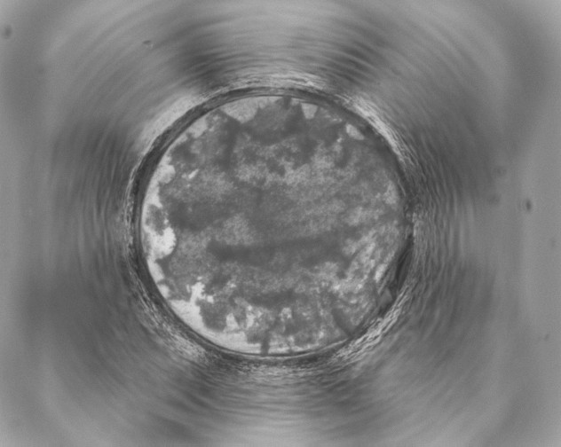 X0000087341071200705111542