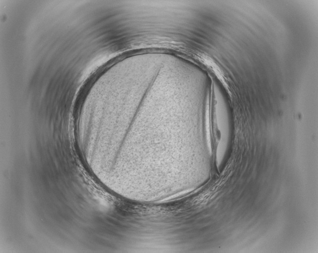 X0000087341072200705111542