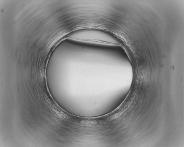 X0000087341073200705111542