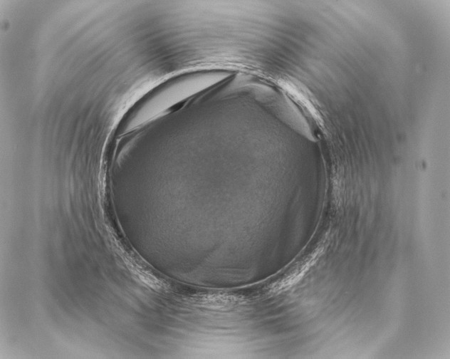 X0000087341077200705111542