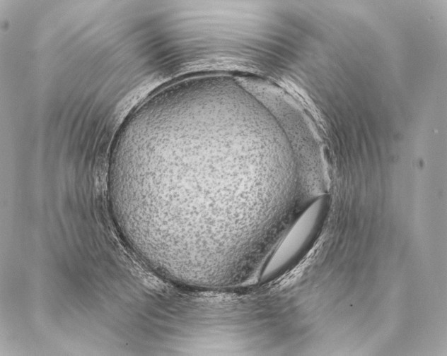 X0000087341081200705111542