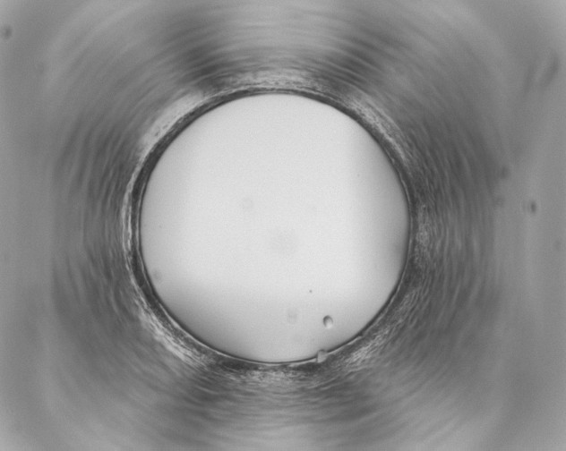 X0000087341082200705111542