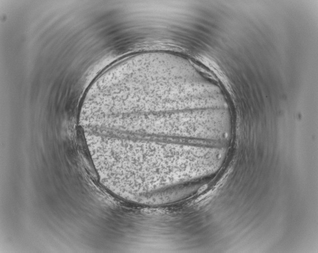 X0000087341089200705111541