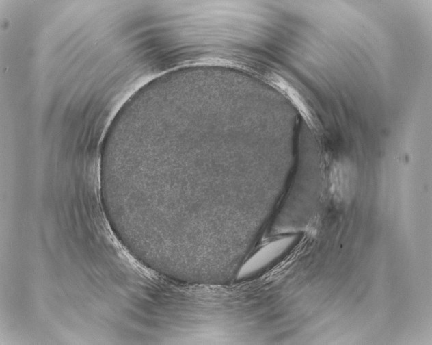 X0000087341092200705111541