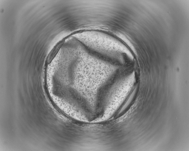 X0000087341093200705111541