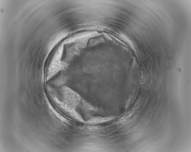 X0000087341095200705111541