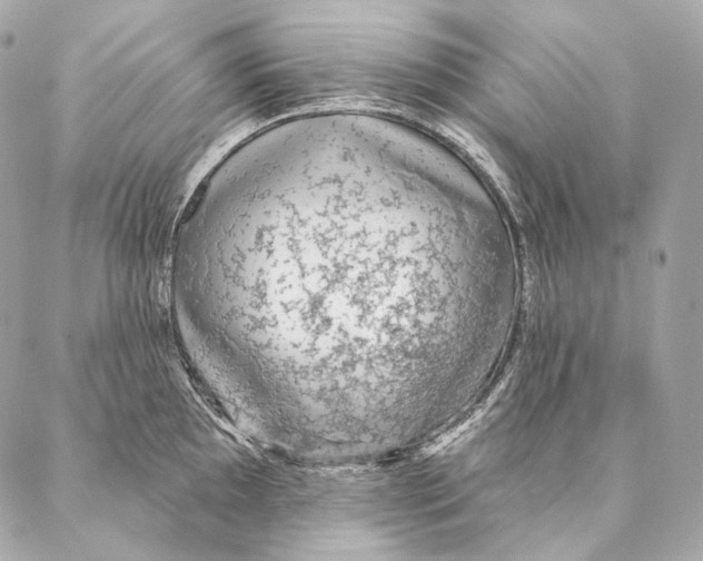 X0000087341097200705111541