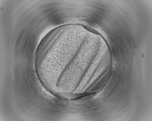 X0000087341102200705111541