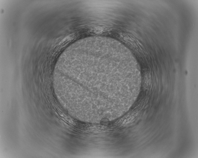 X0000087341105200705111540