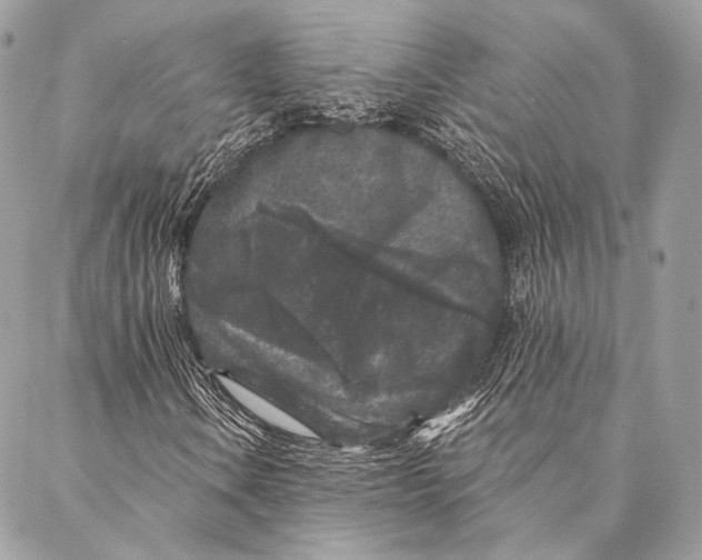 X0000087341106200705111540