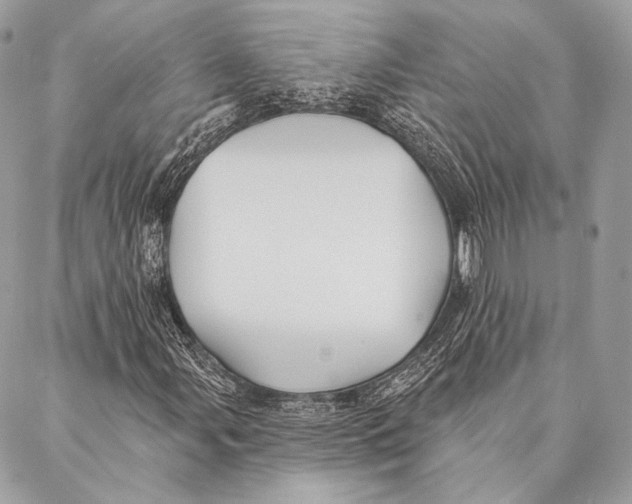 X0000087341107200705111540