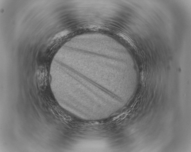 X0000087341111200705111541