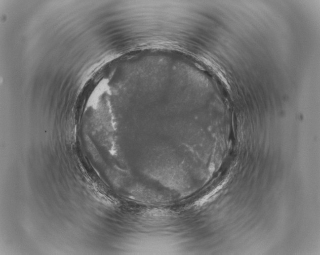 X0000087341117200705111541