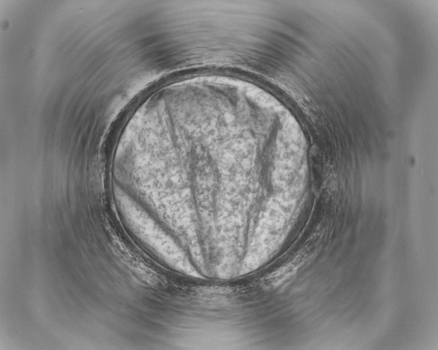 X0000087341118200705111541