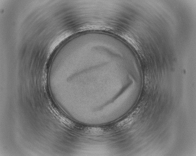 X0000087341119200705111541