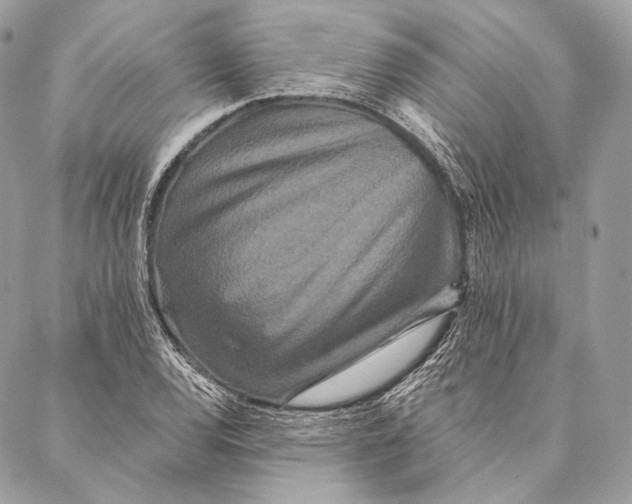 X0000087341120200705111541