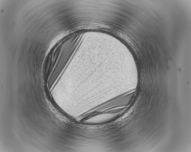 X0000087341122200705111541