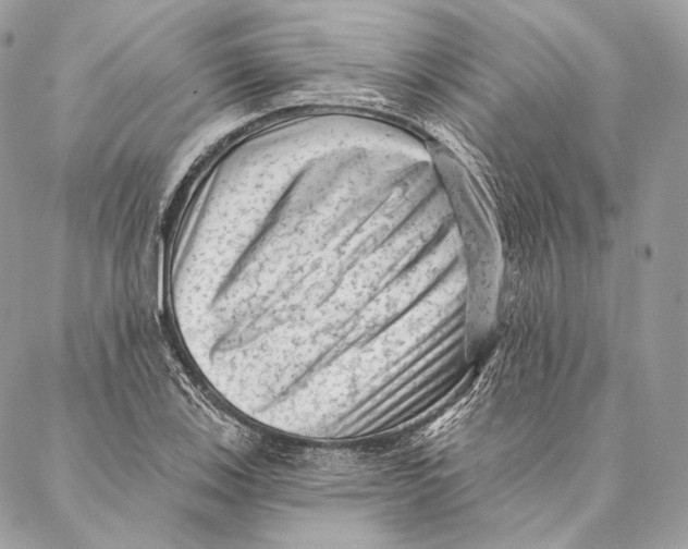 X0000087341123200705111541