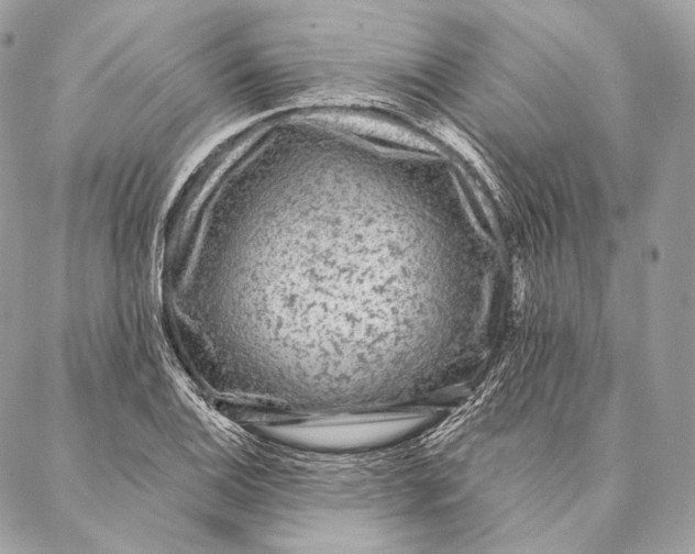 X0000087341124200705111541