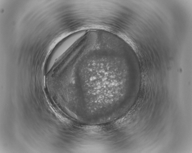 X0000087341127200705111541