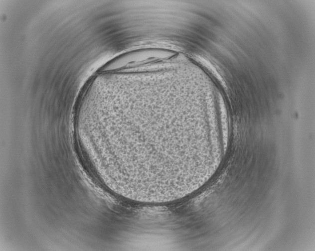 X0000087341133200705111541