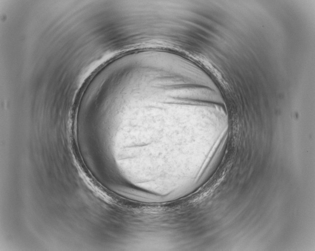 X0000087341134200705111541