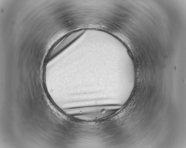 X0000087341135200705111541