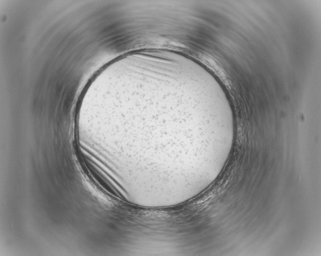 X0000087341136200705111541