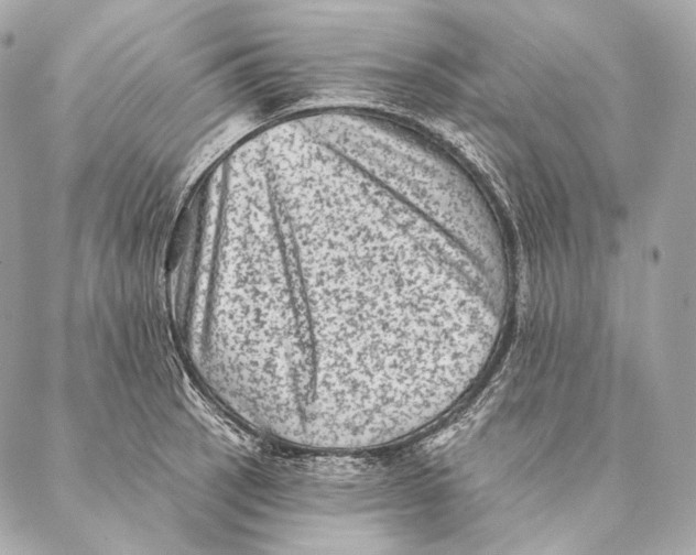 X0000087341137200705111541