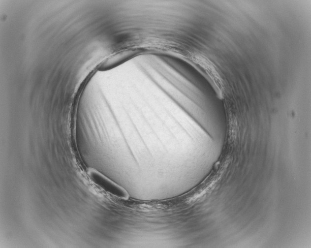 X0000087341138200705111541