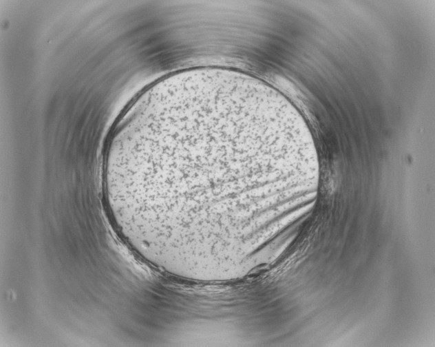 X0000087341140200705111541