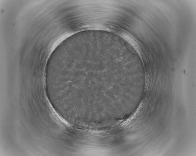 X0000087341141200705111541