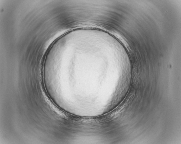 X0000087341142200705111541