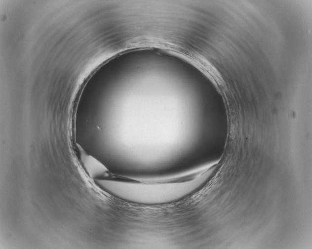 X0000087341144200705111541