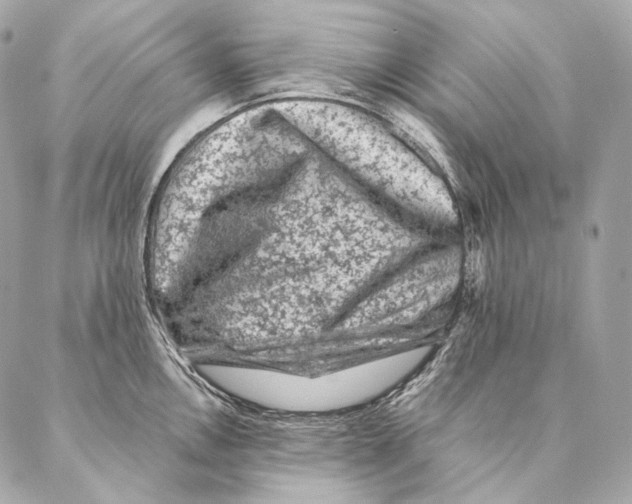 X0000087341146200705111541