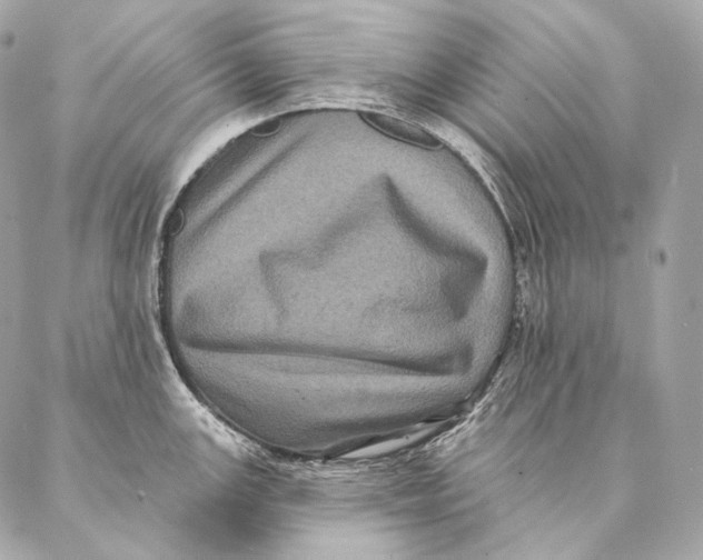 X0000087341147200705111541