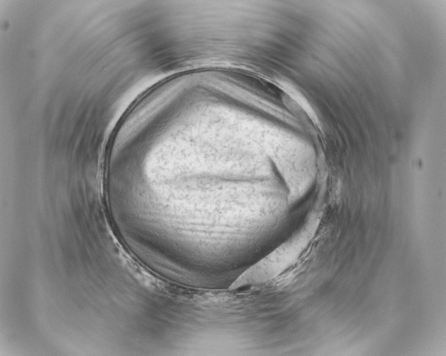 X0000087341148200705111541