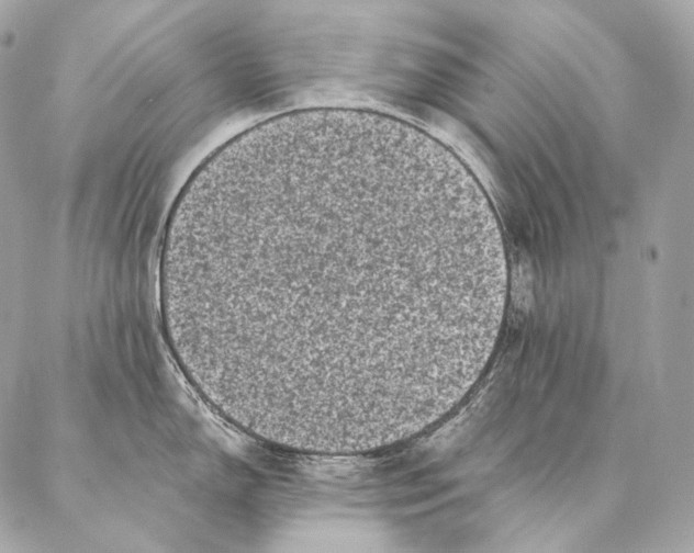 X0000087341150200705111541