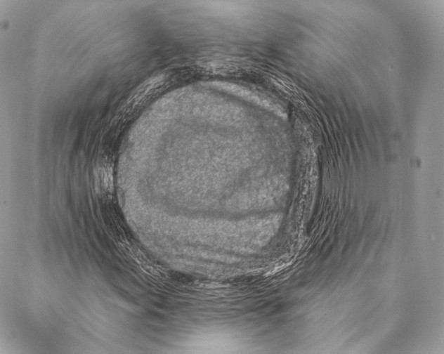 X0000087341155200705111540