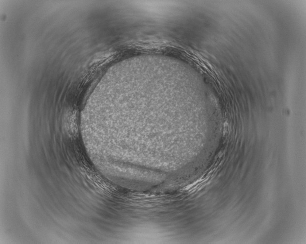 X0000087341156200705111540