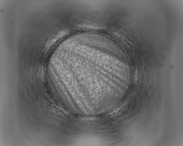 X0000087341157200705111540