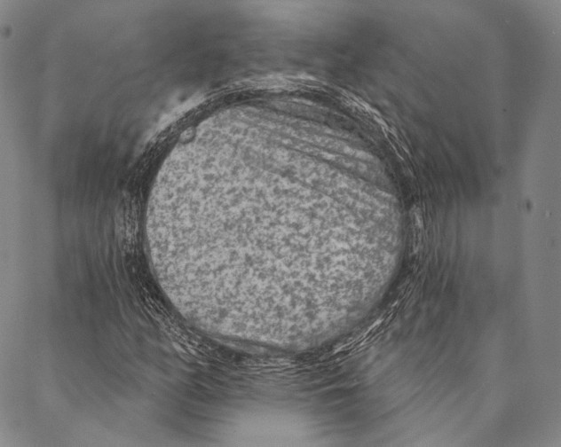 X0000087341158200705111540