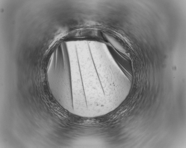 X0000087341160200705111540